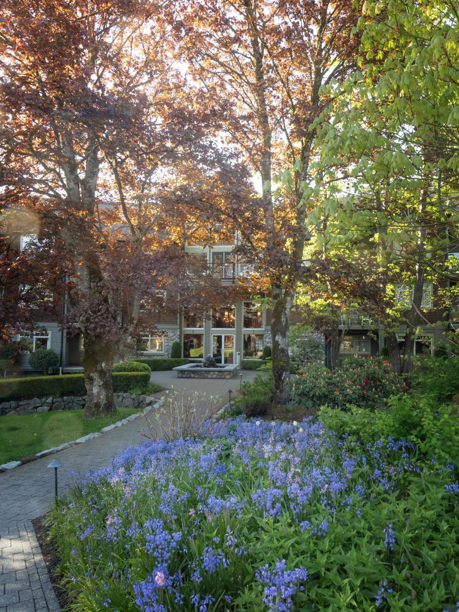 Hotel Old House